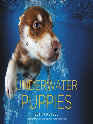 cover image of Underwater Puppies